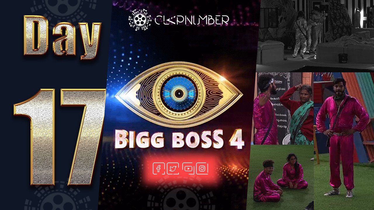 Bigg Boss 4: Day 17: Insights