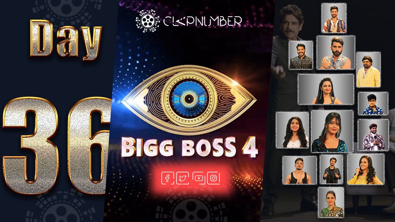 Bigg Boss 4: Day 36: Highlights