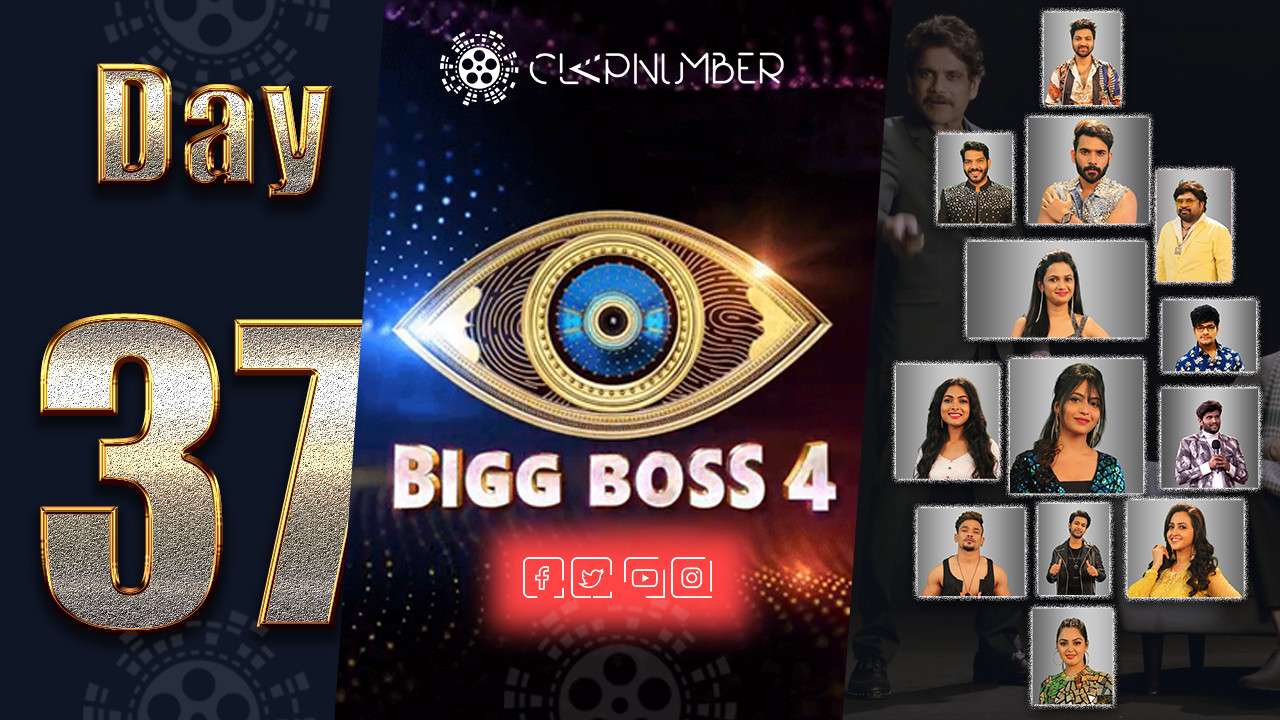 Bigg Boss 4: Day 37: Highlights