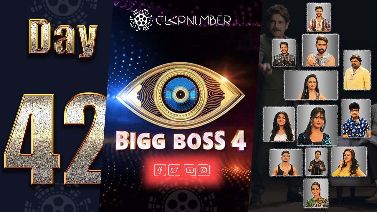 Bigg Boss 4, Day 42, Highlights
