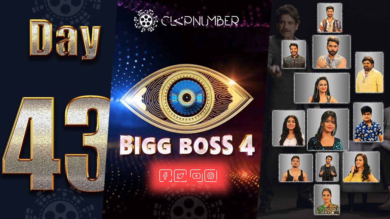 Bigg Boss 4, Day 43, Highlights