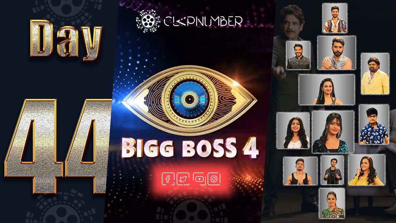 Bigg Boss 4, Day 44, Highlights