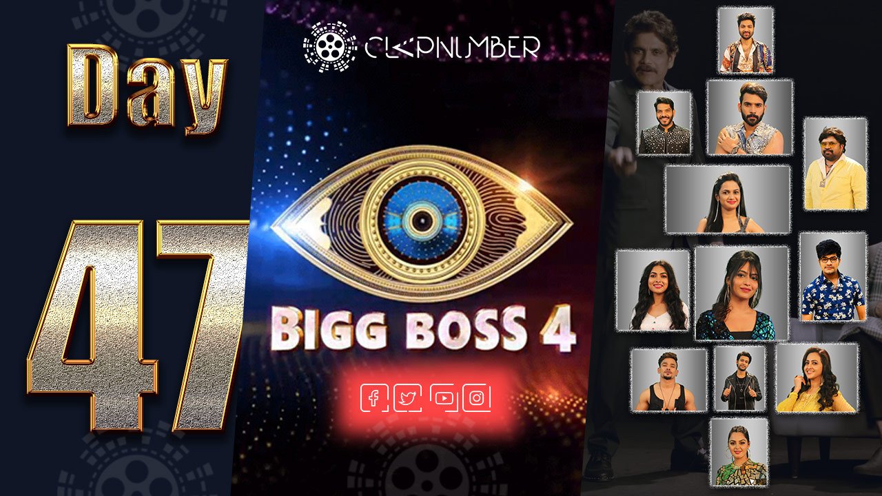 Bigg Boss 4, Day 47, Highlights