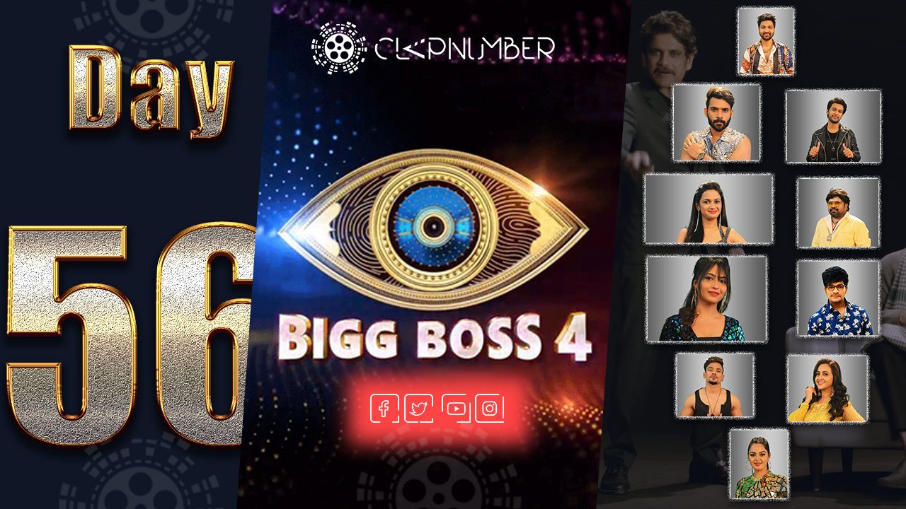 Bigg Boss 4, Day 56, Highlights: Blasting Sunday Funday And Elimination Surprises