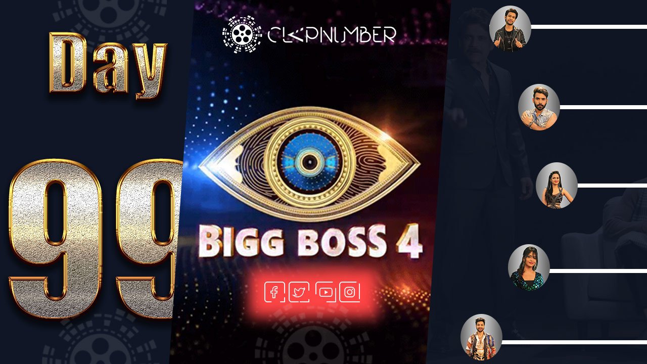 Bigg Boss 4, Day 99, News: Know The Real Person Behind The Disguise