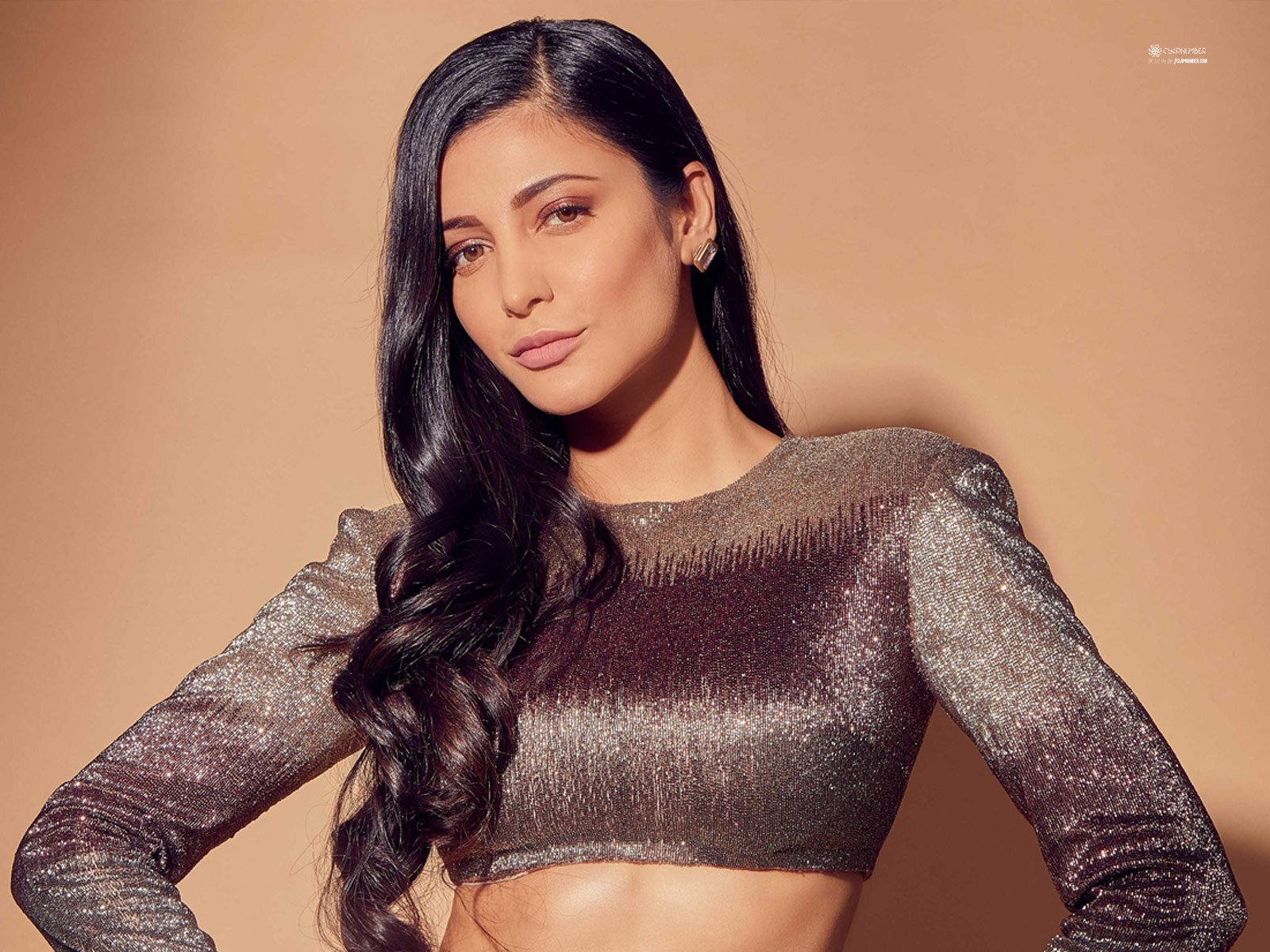 Is Shruti Playing The Lady Lead In Salaar?