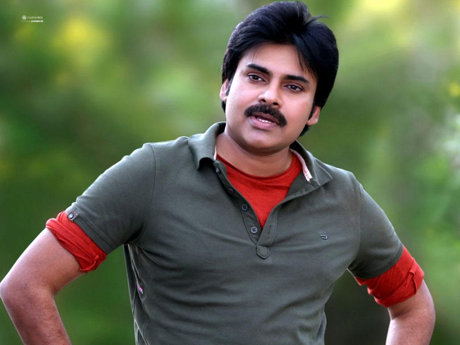 Pawan Kalyan In Varma's Film