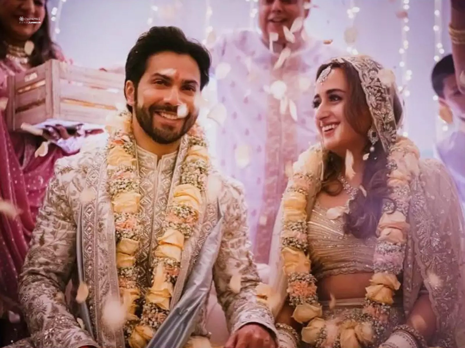Marital Bliss For Varun Dhawan And Natasha Dalal