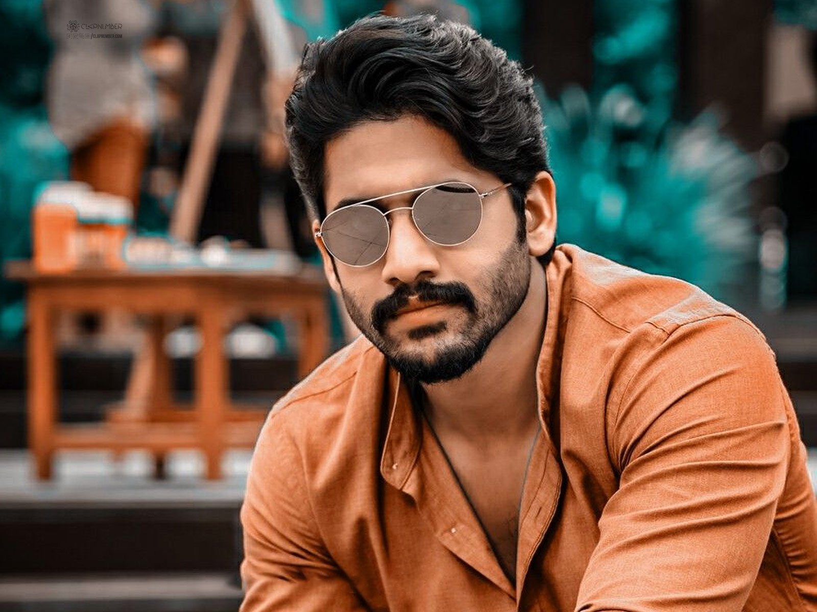 Is Naga Chaitanya Out Of Akkineni's Multistarrer?