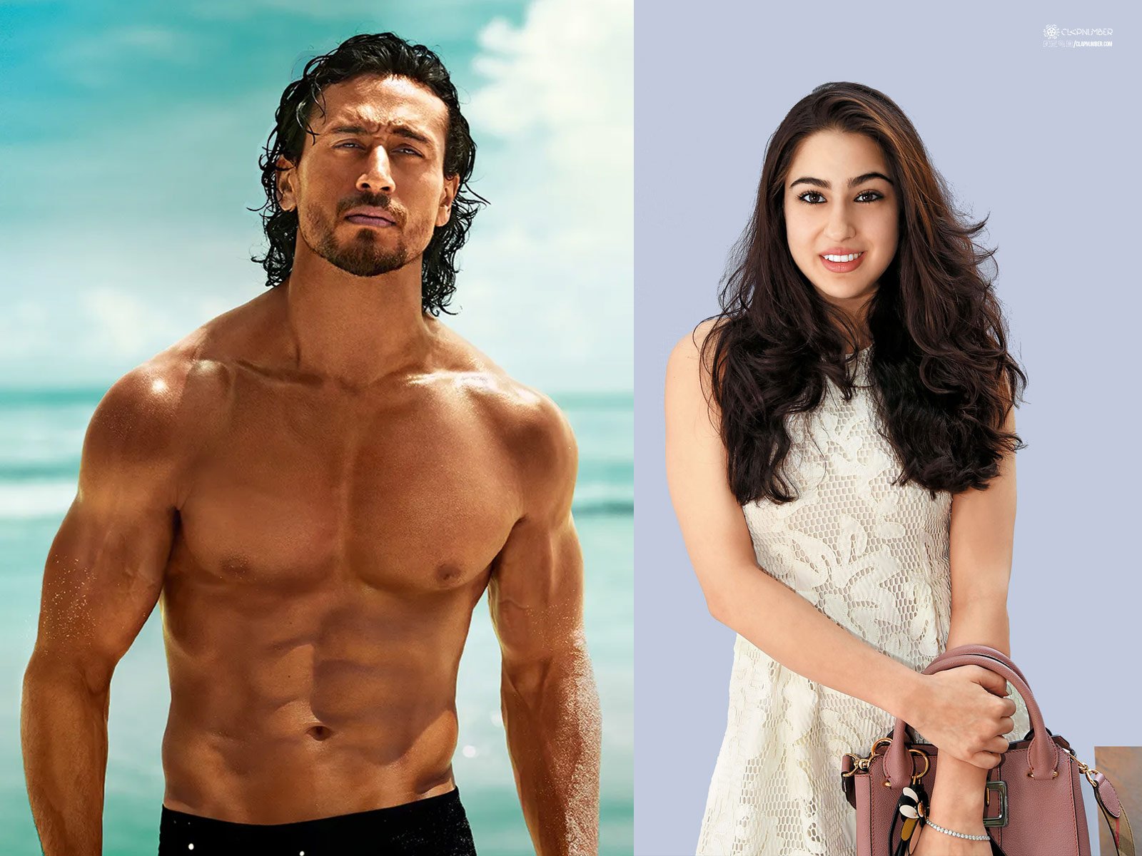 Sara Ali Khan in Baaghi 4
