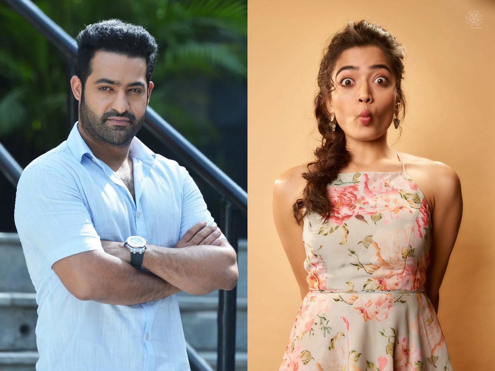 Rashmika Mandanna to romance NTR?