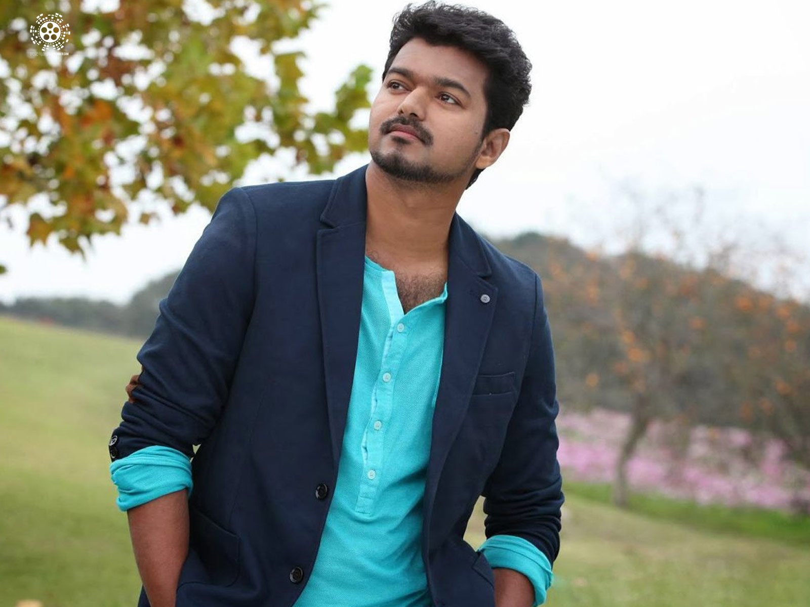 Kollywood Star Vijay To Do A Straight Telugu Film