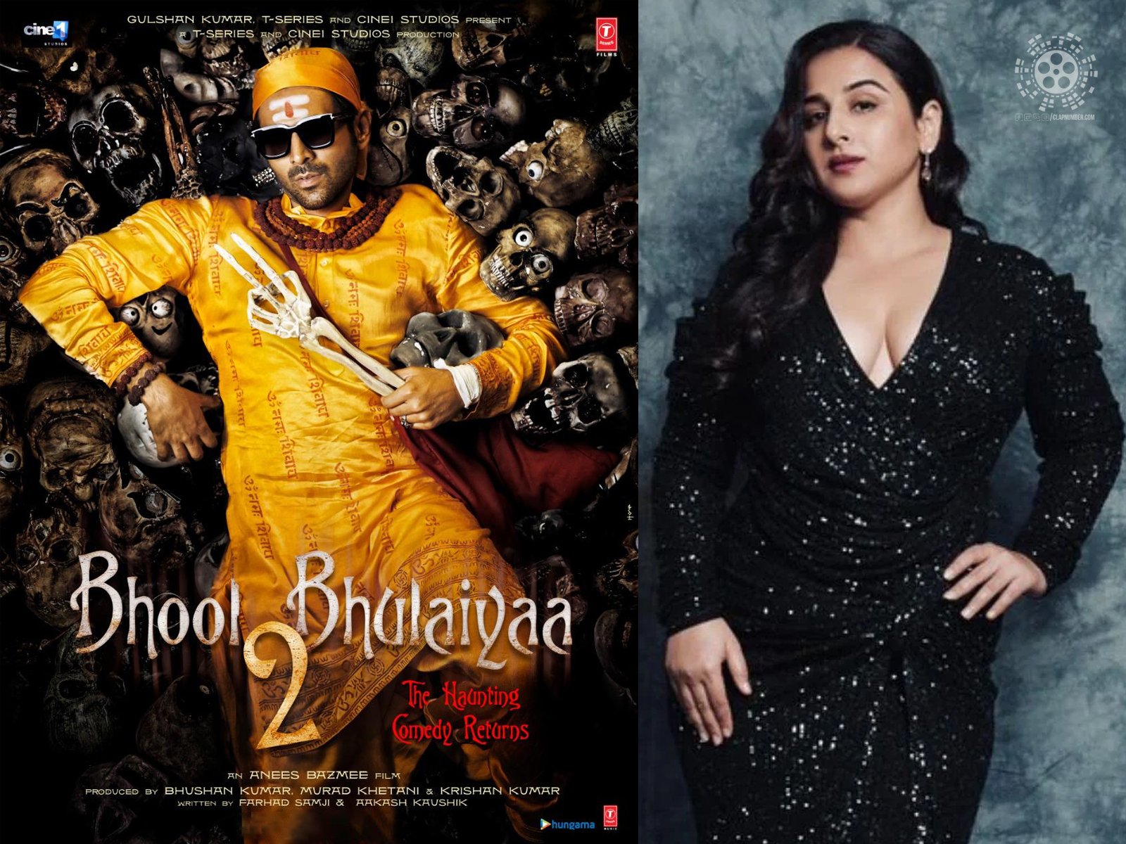 It is now official that Vidya Balan will not be starring in Bhool Bhulaiyaa 2