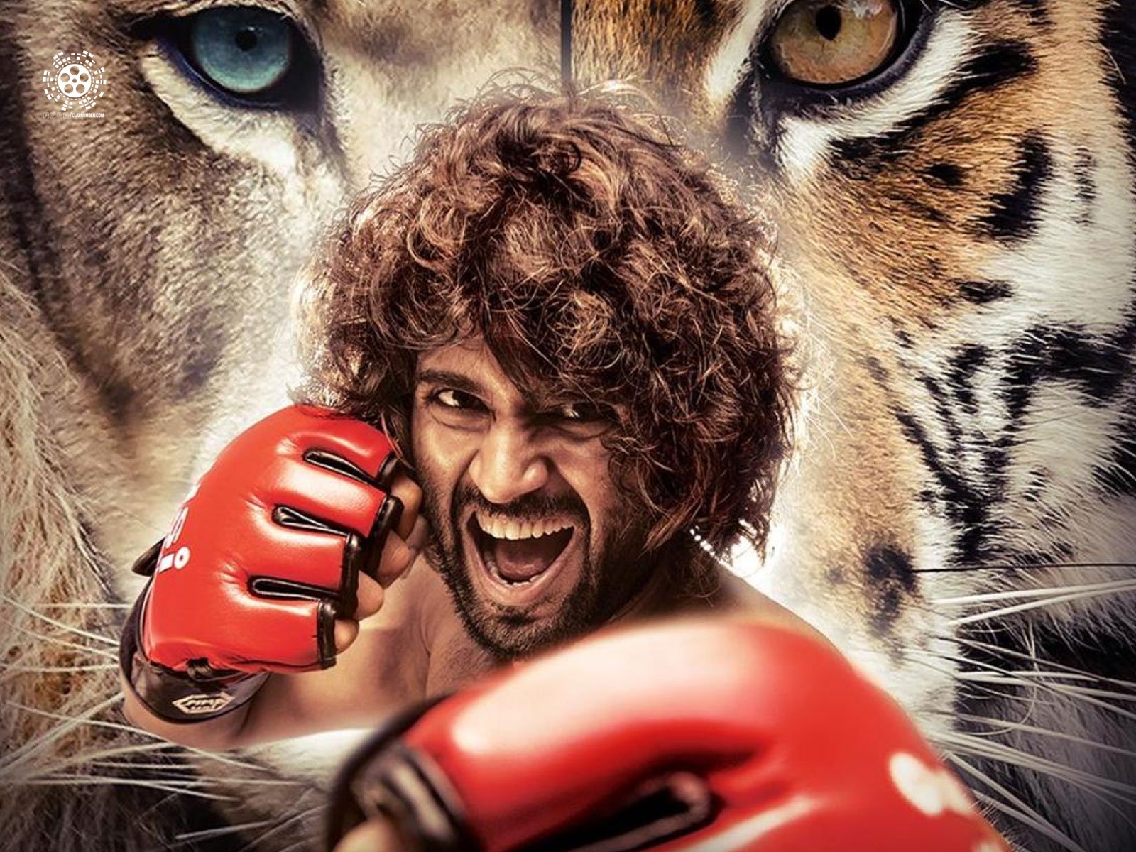 An update on Vijay Deverakonda's Liger shoot schedule