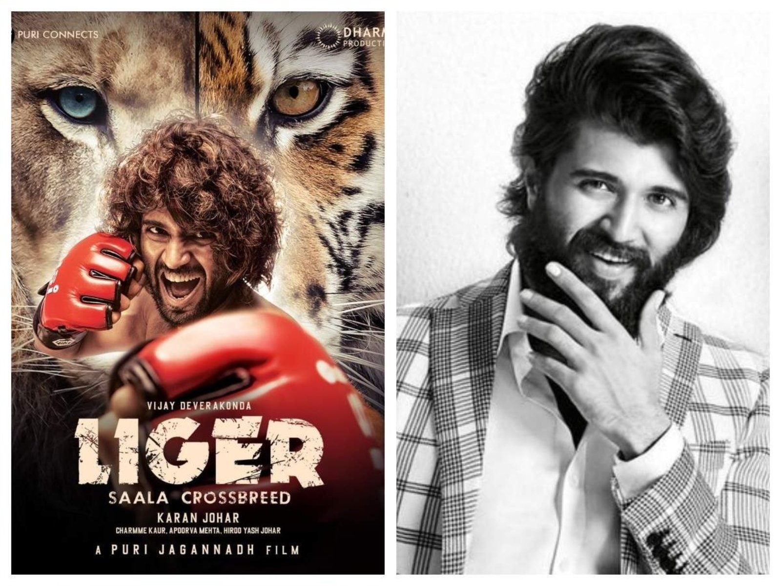 Liger to get the biggest release for Vijay Deverakonda in Bollywood
