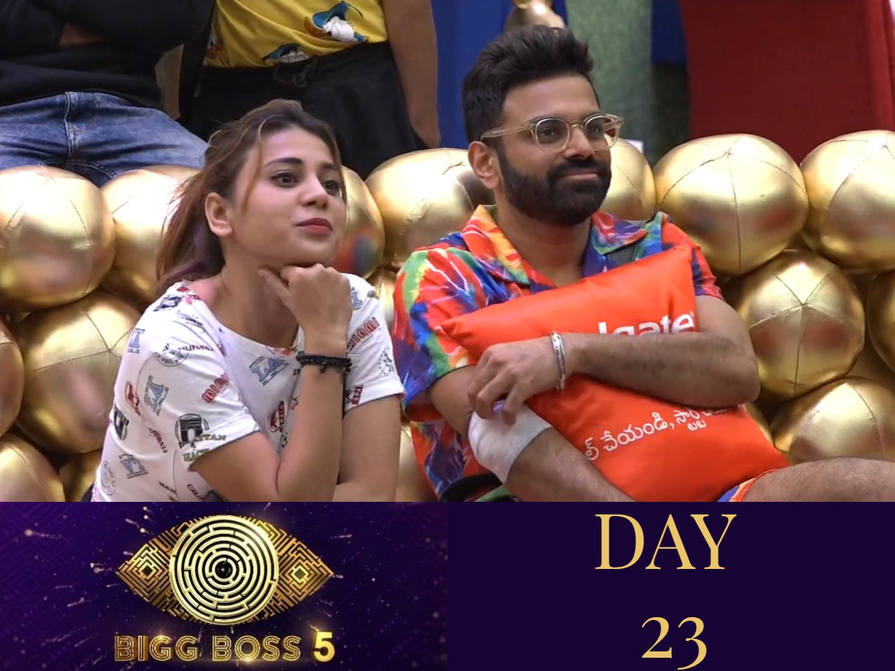 Bigg Boss 5: The house is divided into pairs as a new task is announced!