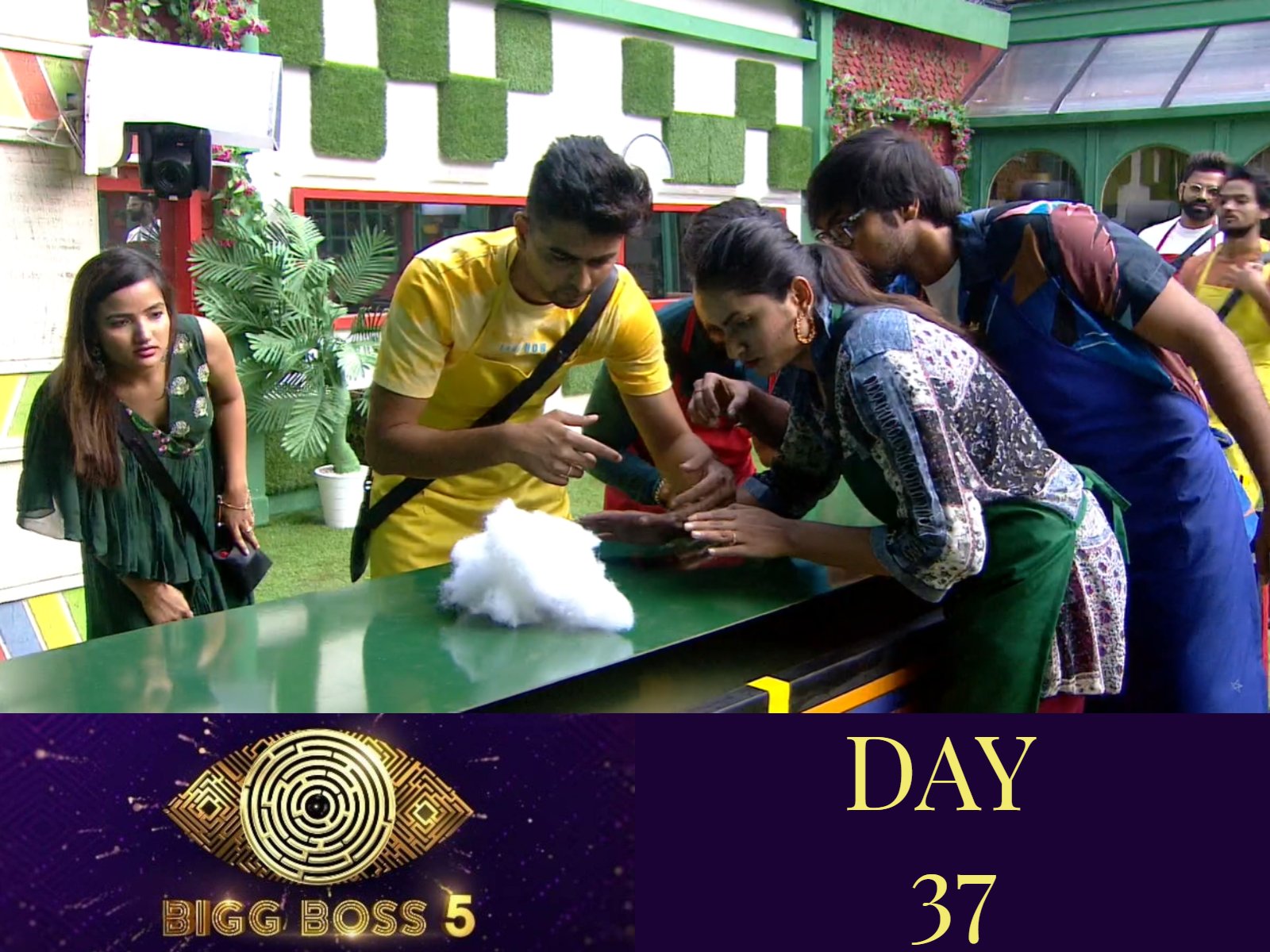 Bigg Boss 5: Housemates make soft toys in order to make it to the captaincy race!