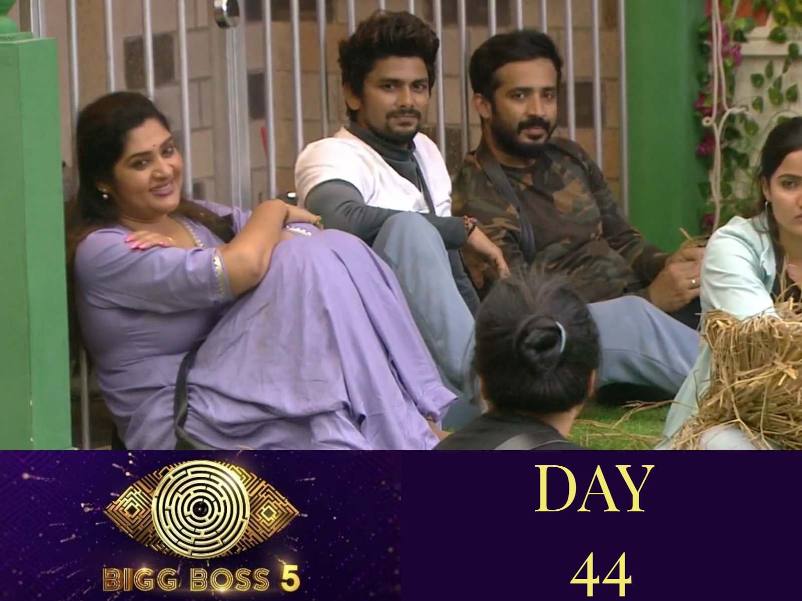 Bigg Boss 5: The Golden Chicken task flares rivalry between Sunny and Priya