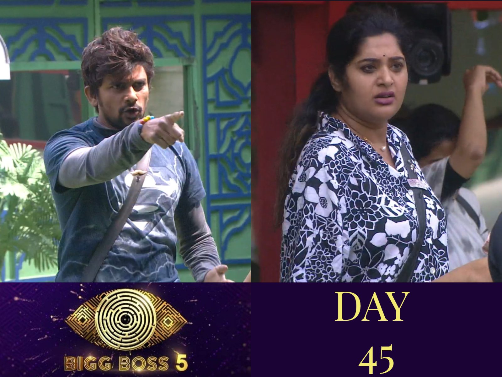 Bigg Boss 5: Sunny And Priya's Rivalry Catches An UGLY Twist!