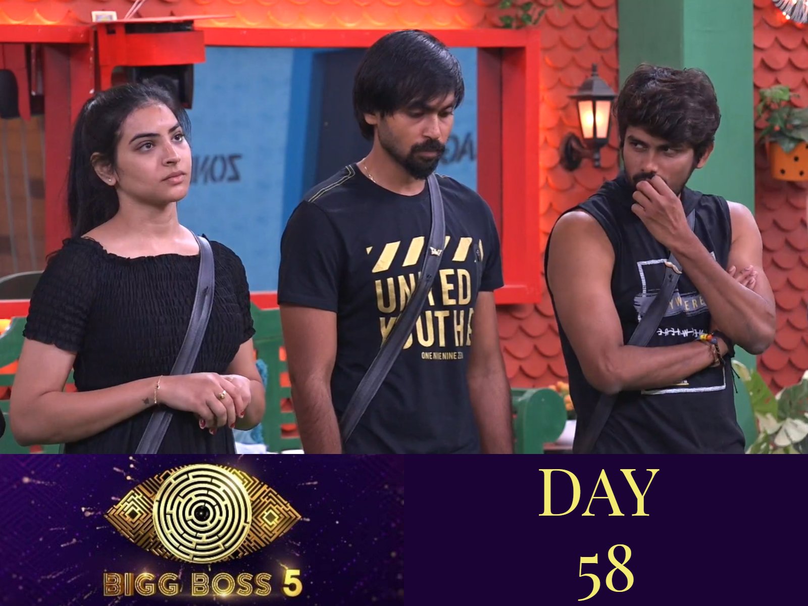 Bigg Boss 5: Who does Anee Master save from nominations?