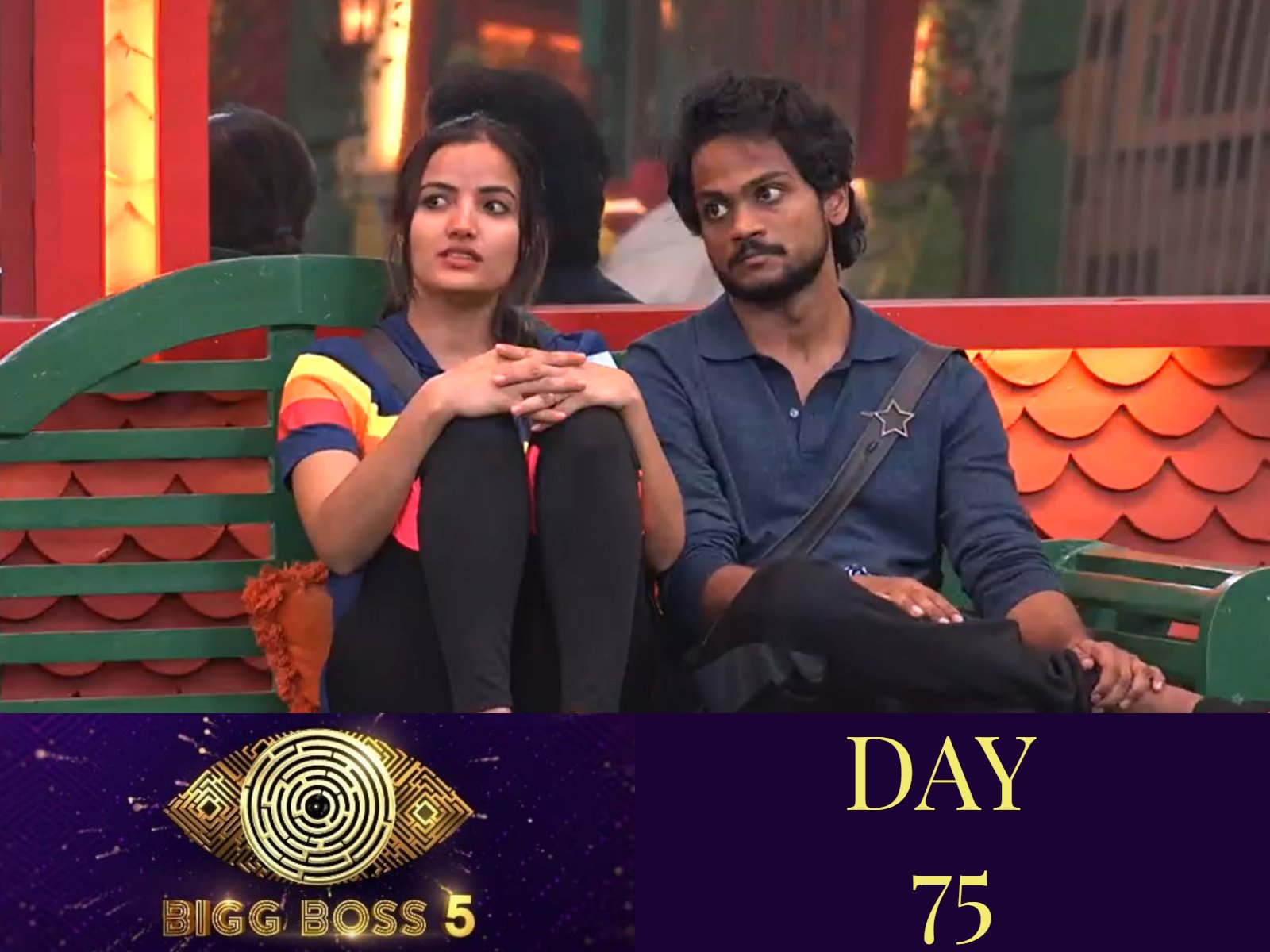Bigg Boss 5: Siri or Shanmukh? Whose photo will the house decide to burn?