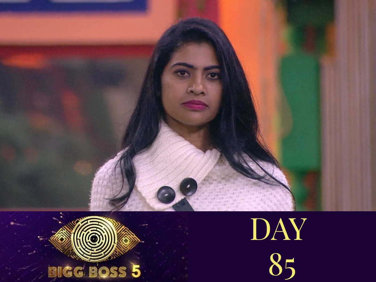 Bigg Boss 5: Kajal gets major backlash for her statements on Priyanka's community
