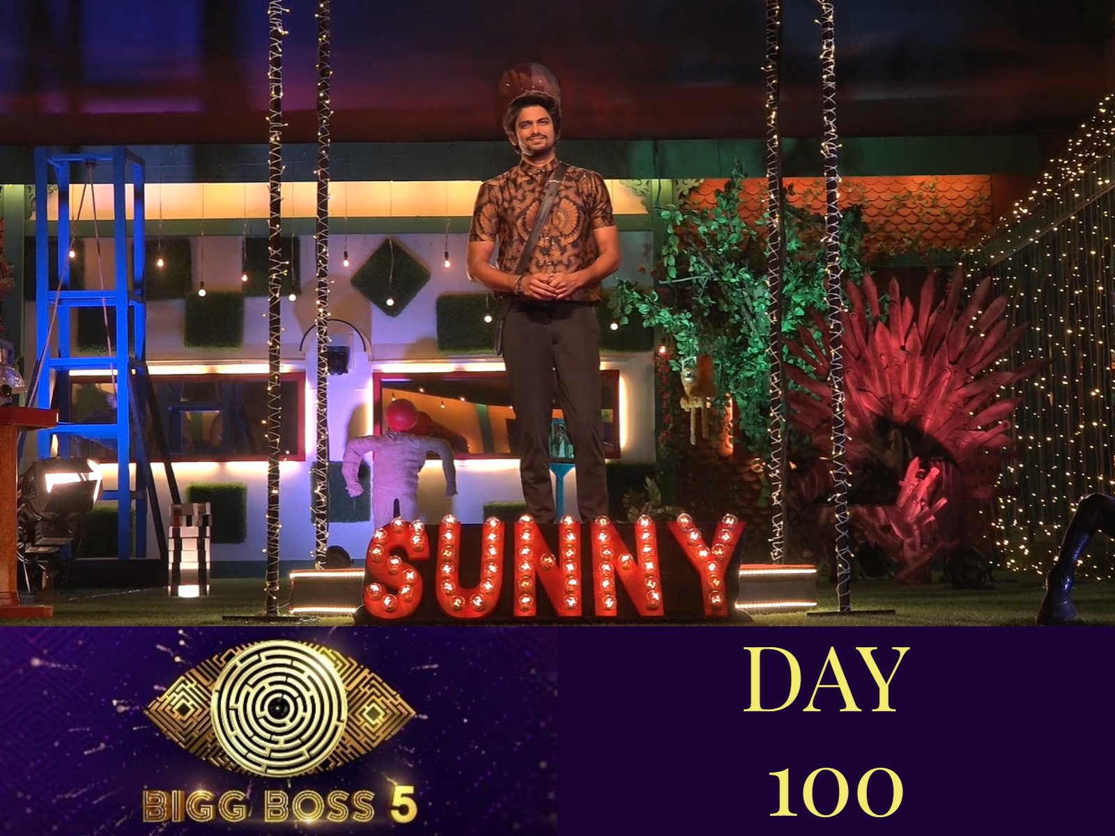 Bigg Boss 5: Shanmukh and Sunny witness their grand journeys!
