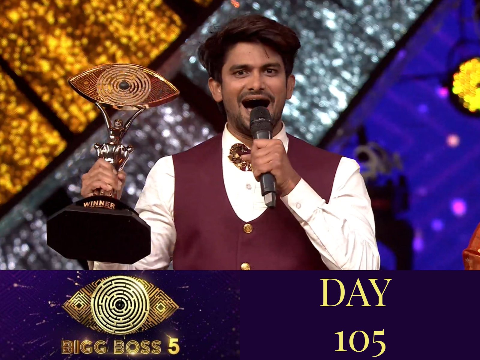 Bigg Boss 5: VJ SUNNY CONQUERS THE BIGG BOSS 5 SHOW!!!