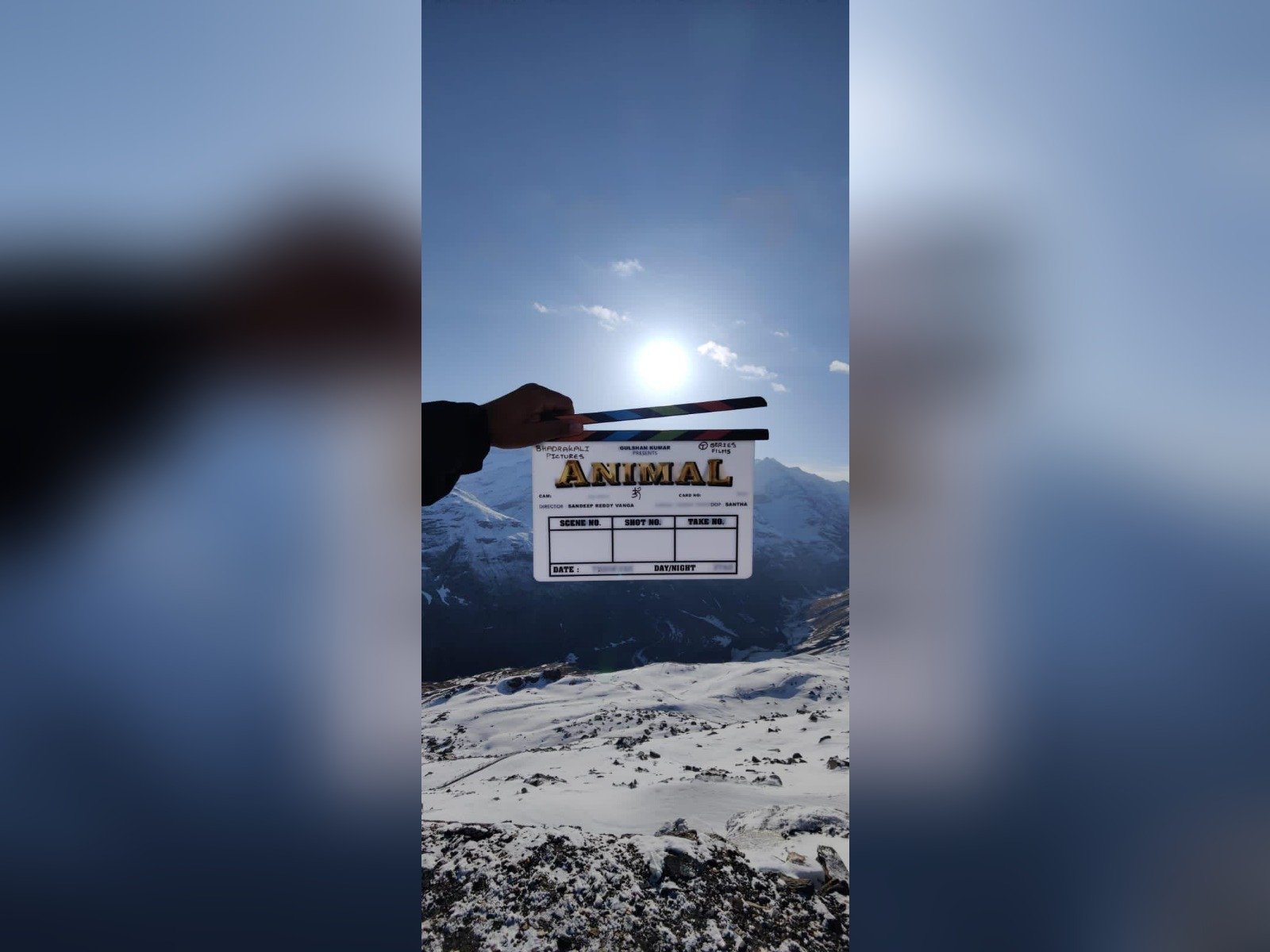 Animal Launched, Regular Shoot Begins
