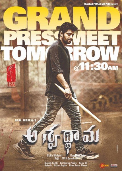 Naga Shaurya