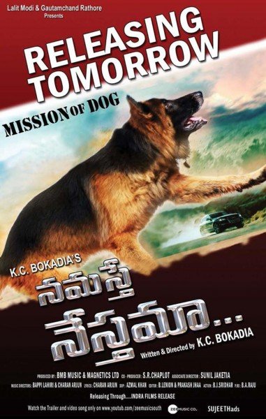 Namaste Nesthamaa still 2