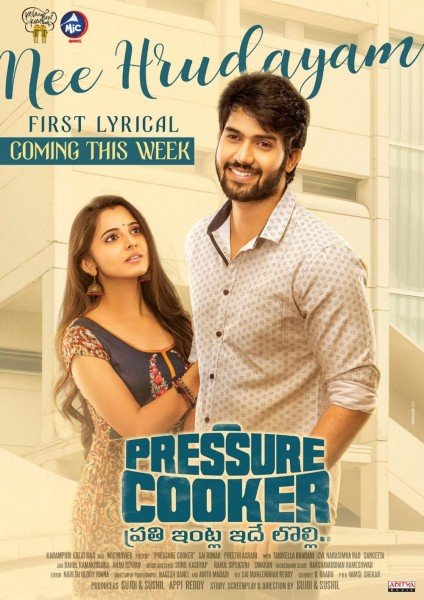 Pressure Cooker still 5