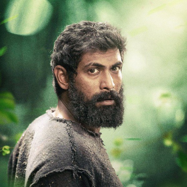 Aranya still 6