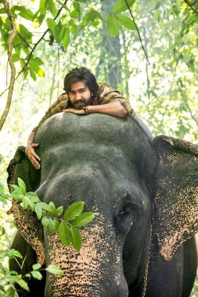 Aranya still 7