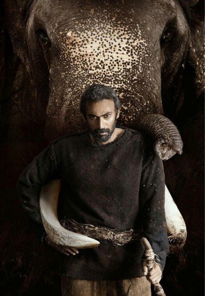 Aranya still 8