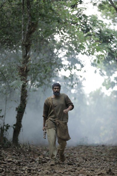 Aranya still 9
