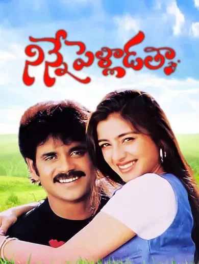 Ninne Pelladatha