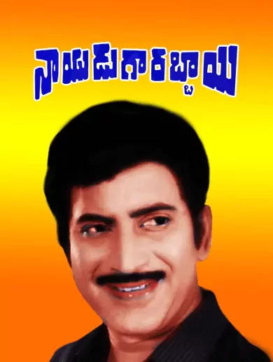Nayudu Gari Abbayi