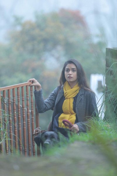 Penguin still 6