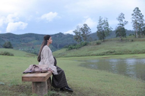 Penguin still 9