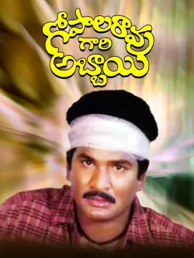 Gopala Rao Gari Abbai