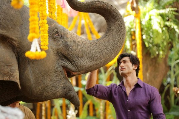 Junglee still 5