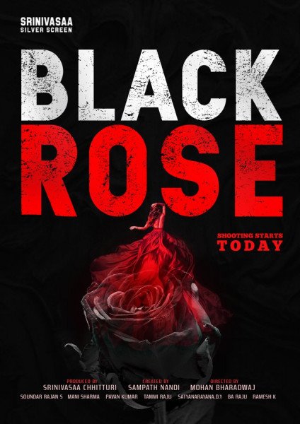 Black Rose still 1