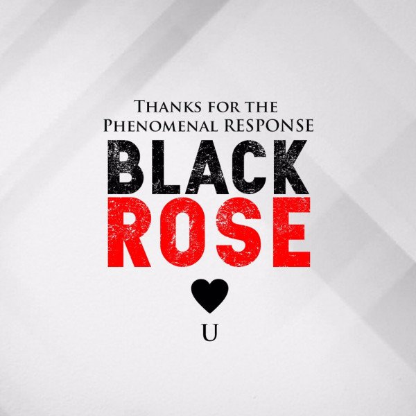 Black Rose still 7