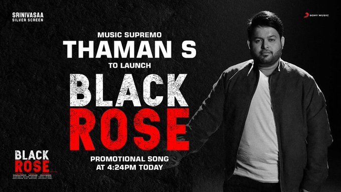 Black Rose backdrop