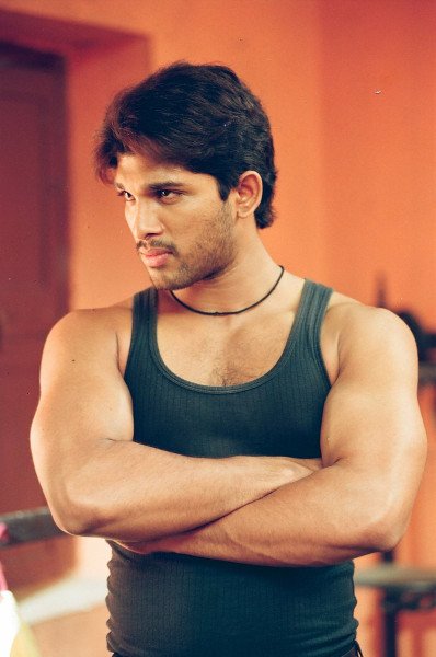 Bunny still 5