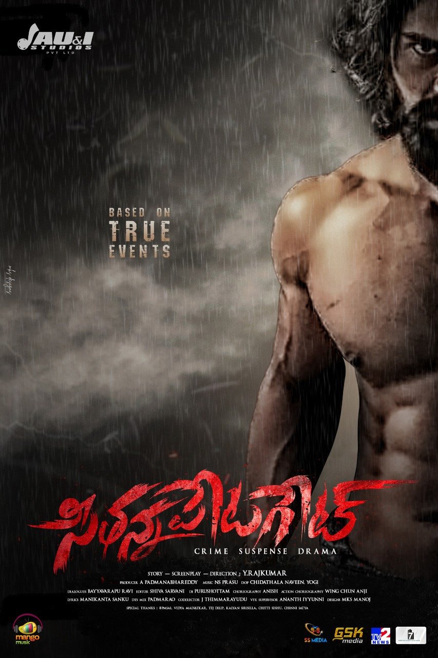 Seethannapeta Gate still 3