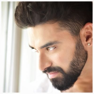 Nikitin Dheer