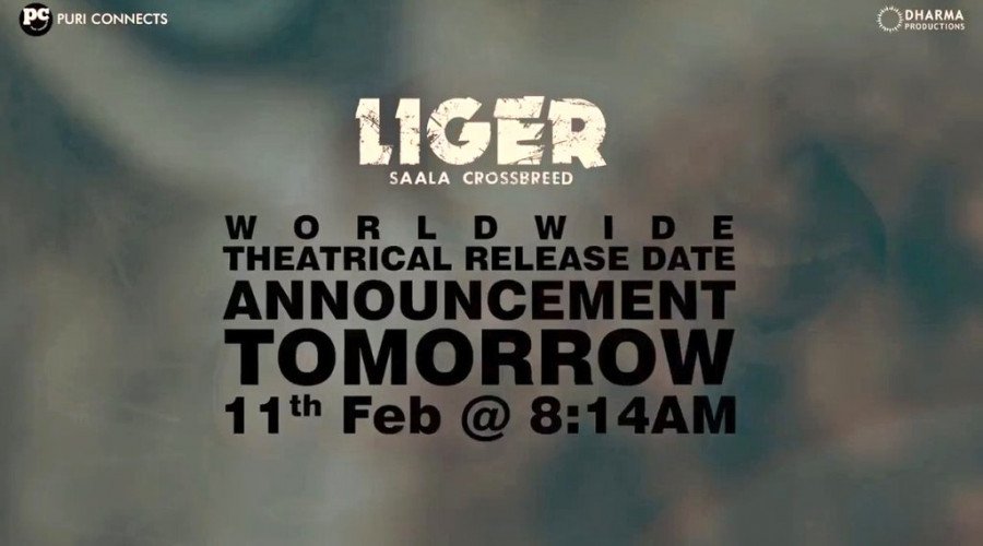 Liger still 5