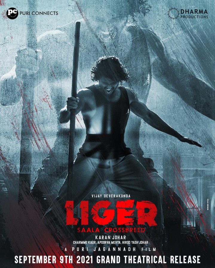 Liger still 6